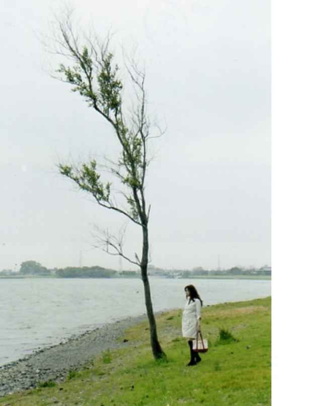 poster for Emi Ichikawa “Nichi-Nichi no Ki (The Daily Tree)”