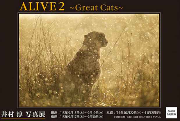 poster for Jun Imura “Alive 2 – Great Cats”