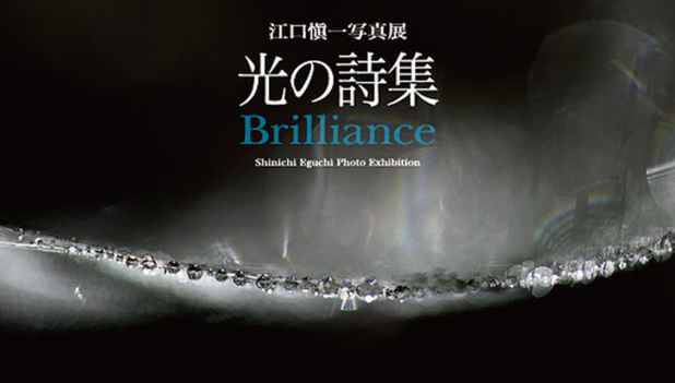poster for 「光の詩集 Brilliance」