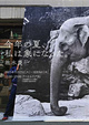 poster for 池水慶一「今年の夏、私は象になった。」