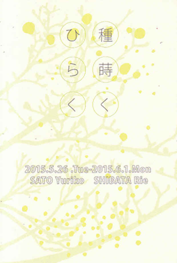 poster for Yuriko Sato + Rie Shibata “Tanemaku Hiraku”