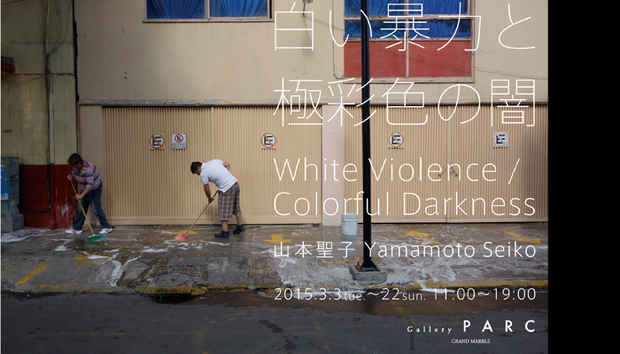 poster for 山本聖子 「白い暴力と極彩色の闇 」