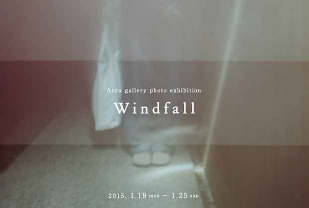 poster for 「Windfall」