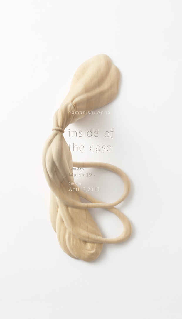 poster for Anna Yamanishi “Inside of the Case”