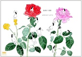 poster for Inori Kito “Ambient Girls”