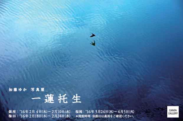 poster for 加藤ゆか 「一蓮托生」