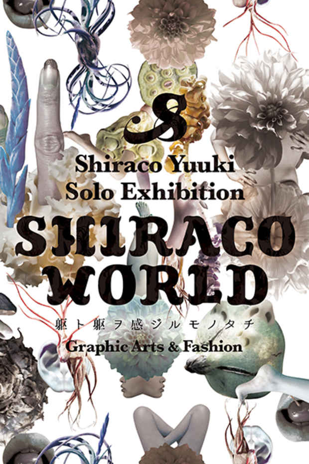 poster for 白子侑季 「SHIRACO WORLD 躯ト躯ヲ感ジルモノタチ」　展