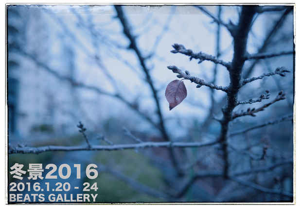 poster for Winter Scenes 2016