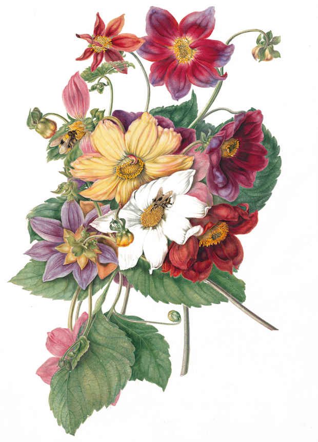 poster for 「世界遺産 キュー王立植物園所蔵 イングリッシュ・ガーデン - 英国に集う花々 - 」展