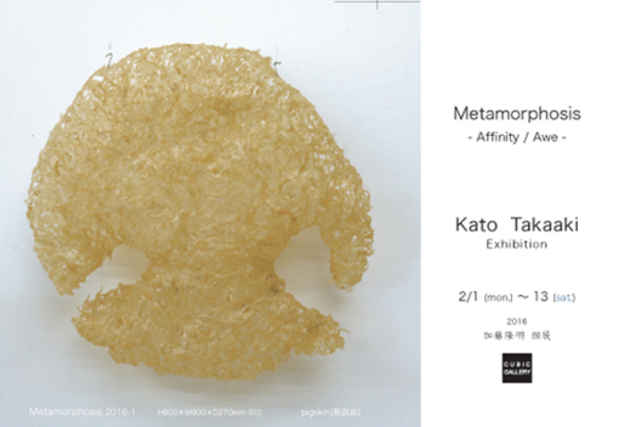 poster for Takaaki Kato “Metamorphosis Affinity / Awe”