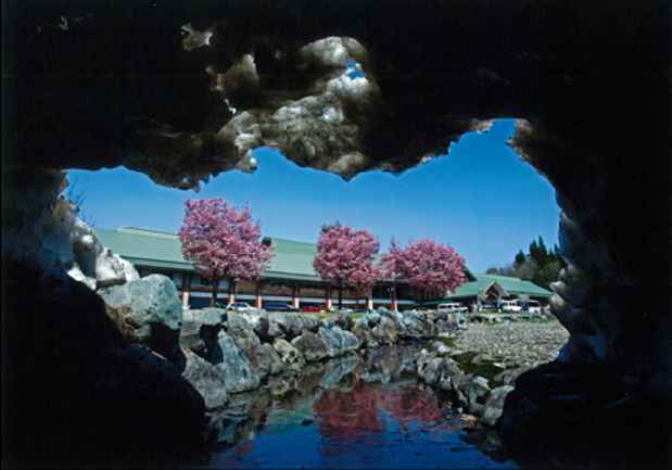 poster for Meiki Lin “Nature City: The Four Seasons in Tadami, Fukushima”