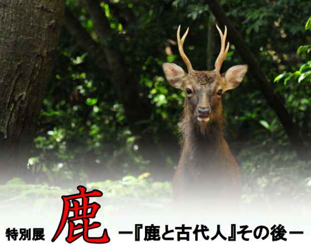 poster for Deer and Ancient Peoples