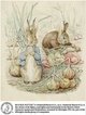 poster for 150 Years of Beatrix Potter - Peter Rabbit Exhibition