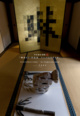 poster for Takashi Kiuchi “Rimpa 401st Anniversary - Kiuchi Rimpa Exhibition”