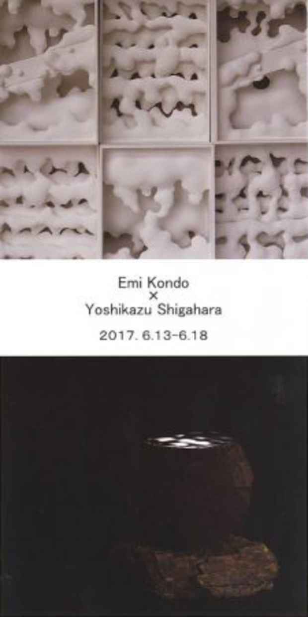 poster for 近藤えみ・信ヶ原良和 二人展
