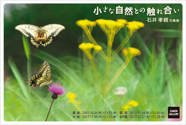 poster for Yoshichika Ishii “Contact with Little Nature”