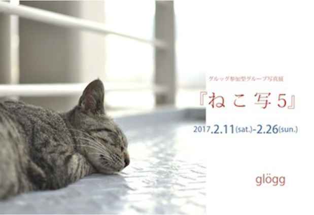 poster for グループ写真展「ねこ写５」
