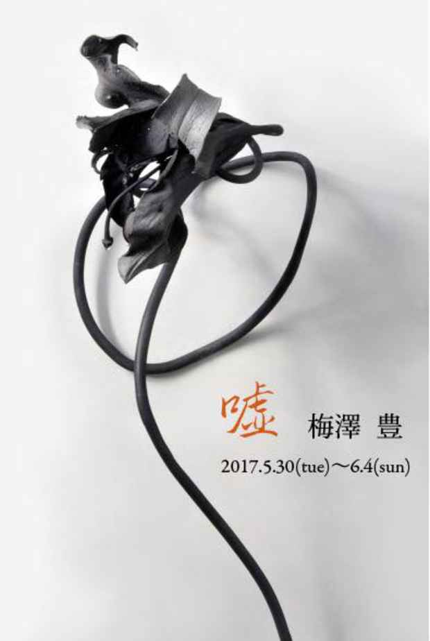poster for 梅澤豊「嘘」