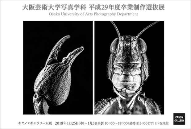 poster for 「大阪芸術大学写真学科 平成29年度卒業制作選抜」展