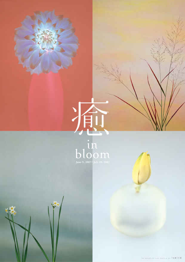 poster for 「癒 in bloom」展