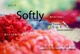 poster for Tomoko Usui "Softly"