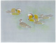 poster for 「松篁・淳之の花鳥画『鳥たちの楽園』- 唳禽荘から生れた作品 - 」展
