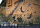 poster for 「公文知洋子の裂織の世界展 - 進化する裂織 - 」