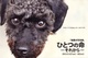 poster for 「保護犬写真展 ひとつの命 - それから - 」