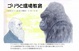 poster for Gorillas and Environmental Education
