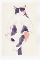 poster for Hiroko Oguro “Everyday Life with a Cat”