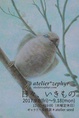 poster for Atelier*zephyr “Every Day, Living Things”